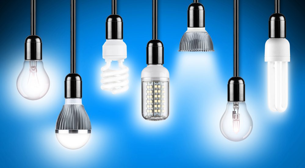 types of bulb