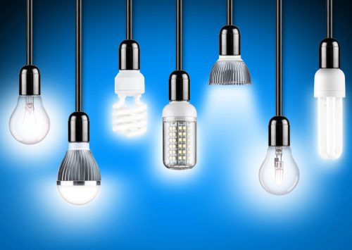 types of bulb