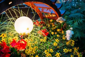 Landscape lighting services