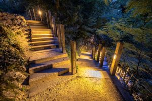 Professional Lighting Installation